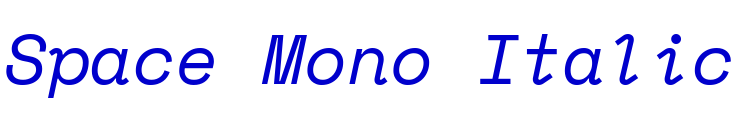 Space Mono Italic font